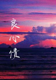 什么叫良心账
