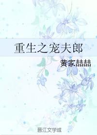 重生之宠夫之路by