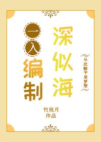 一入编制深似海番外
