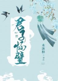 君子怀璧女主的身世