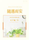 随遇而安的全部完结
