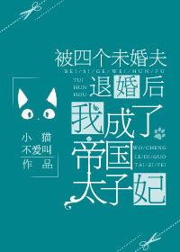 被三个未婚夫退婚后我成了帝国太子妃