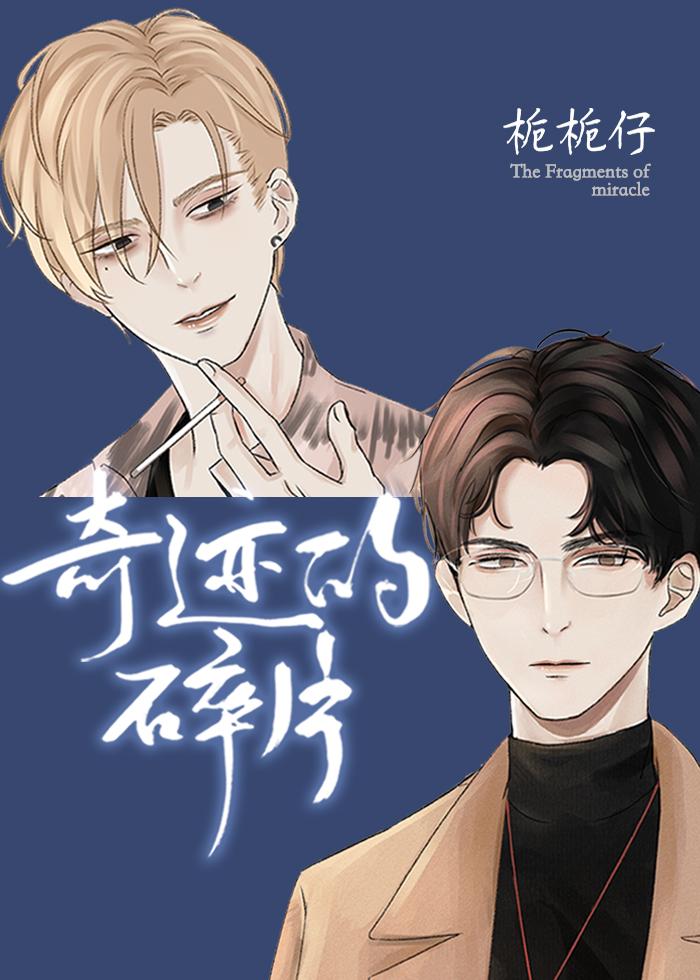 奇迹的碎片by栀栀仔简介