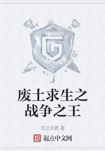 英雄无敌 战役