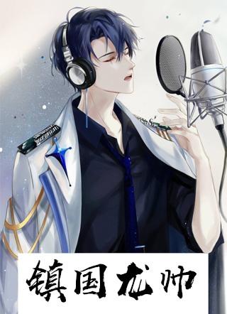 镇国龙帅林言镇国龙帅