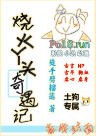 烧火丫鬟喜洋洋 有声