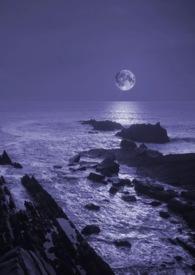 暗夜什么