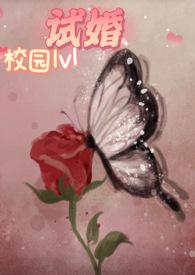 试婚
