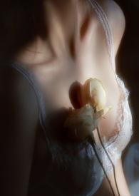 疯狗成群(NPHABO)逼逼鸡