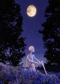 莺莺燕燕的意思