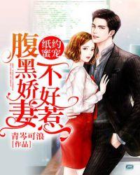 纸约蜜宠腹黑骄妻不好惹