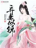 弃妻似锦最新章节列表