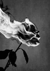 禁中非烟(1v1)by锦换