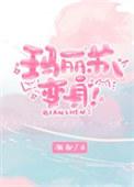 玛丽苏后续