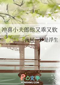 冲喜小夫郎晋江