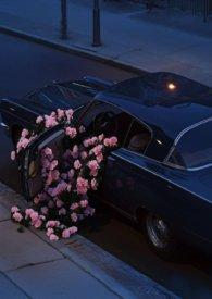 锁清秋百度百科