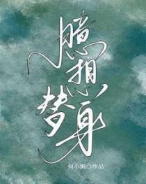 臆想替身_何小懒_256中文