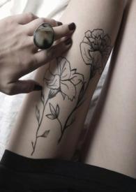 金丝雀岛以什么动物命名