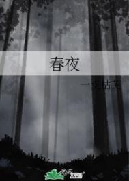 春夜奇遇阅读题及答案