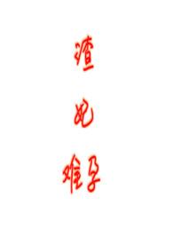 渣王妃免费阅读全文