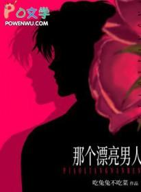 那个漂亮的男知青晋江
