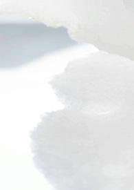 校园1v1病娇结局