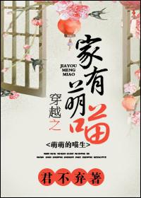 穿越之家有小夫郎　　作者夜悠