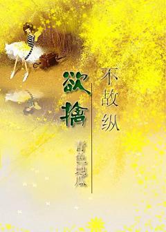 欲擒故纵上一句