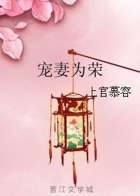 宠妻为上笔趣阁