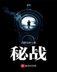密战峨眉 电视剧