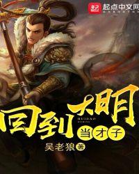 回到大明当才子完结