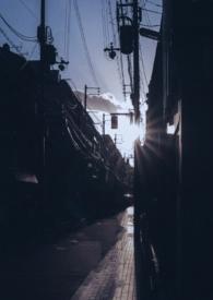 你是我的曙光h1v1