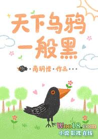 天下乌鸦一般黑完全归纳