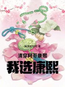 清穿之康熙是我阿玛