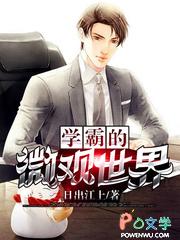 类似学霸的微观世界