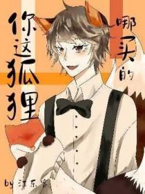 狐狸从哪里买