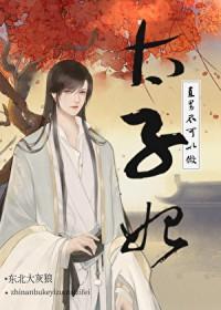 直男不可以做太子妃晋江