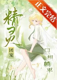 精灵团宠小千金原著