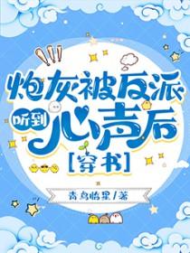 炮灰总是被反追免费阅读