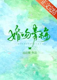 婚吻青梅作者远山紫