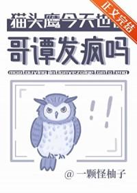 美剧哥谭猫头鹰法庭