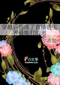 穿越后他成了直播逃生界最能打的崽 吉尔吉加