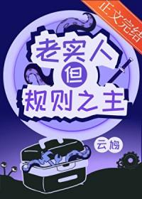 老实人 定义