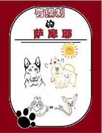 萨摩耶犬好不好