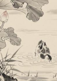 全京城都在等我掉马txt