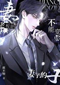 老板不能当法人吗