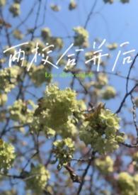 两所大学合并后学生算哪个学校的
