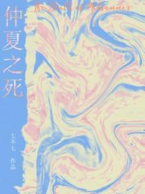 仲夏之至什么意思