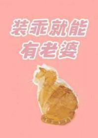 装乖的女生