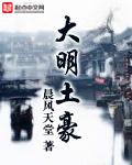 大明土豪txt